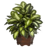 Plant Hiding Places