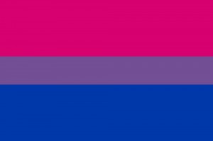 2013-09-19-bisexual-bisexual_pride_flag