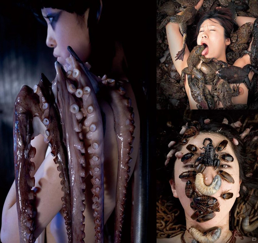 THE TENDER TENTACLES OF DAIKICHI AMANO