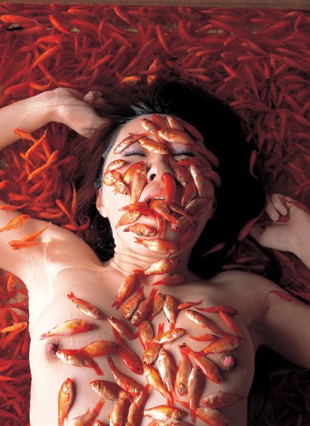 THE TENDER TENTACLES OF DAIKICHI AMANO