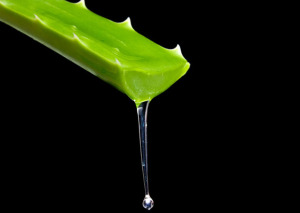 Aloe Vera gel natural sex lubricants