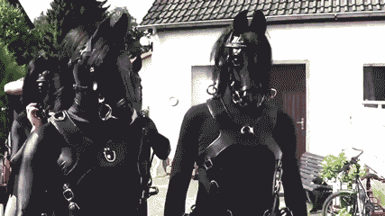 What is Pet-Play? The Anthromorphized-Animal Fantasy